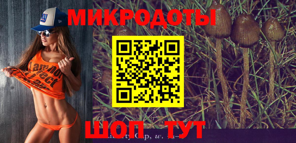 Серпухов  сколько стоит  Вход с VPN  Галлюциногенные грибы Magic Shrooms  Галлюциногенные грибы Psilocybine cubensis 